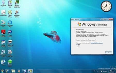 Windows cumple 25 años